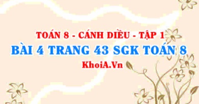 Bài 4 trang 43 SGK Toán 8 tập 1 Cánh Diều